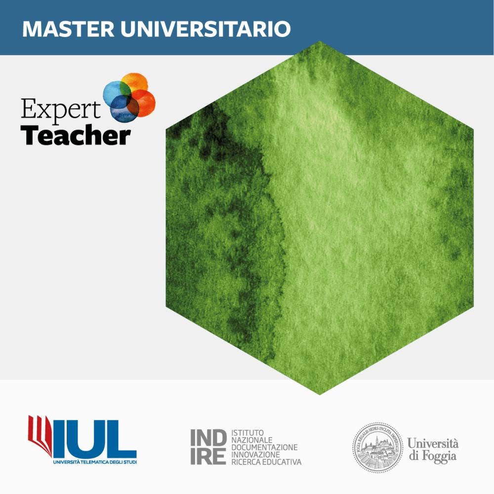 Esperto nei processi educativo-didattici sistema integrato 0-6