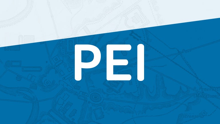 La formazione Erickson sul PEI