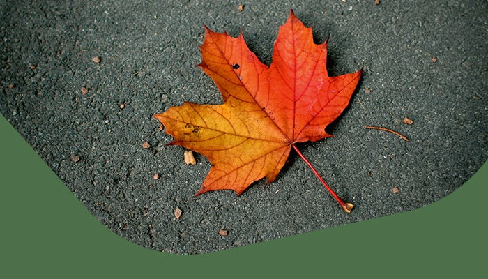 Giornata Mondiale della Terra