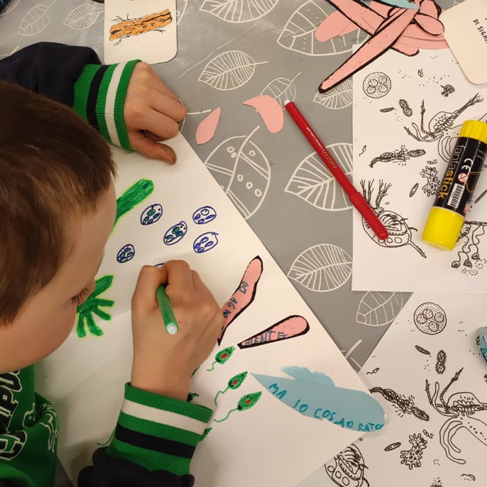 Piccoli, molto piccoli, piccolissimi| 7-10 anni