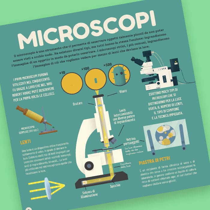 I microbi Infografica 1