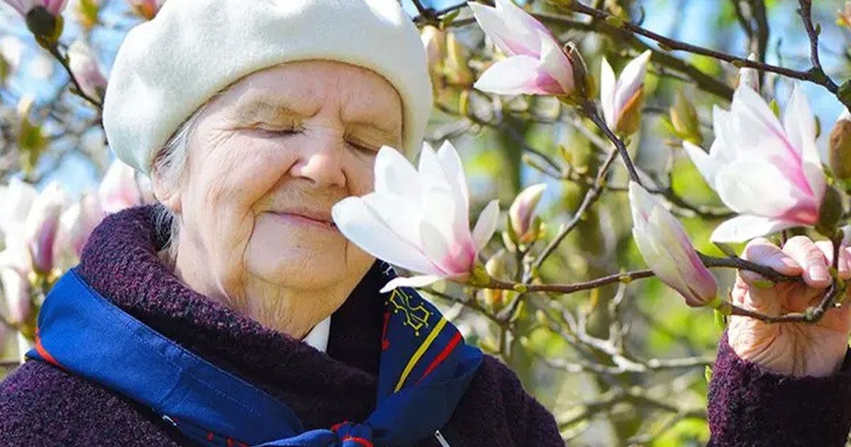 Il Metodo Montessori e l’Alzheimer