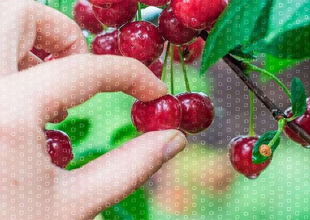 Come imparare a riconoscere manipolazioni e notizie false che usano i dati per fare disinformazione?