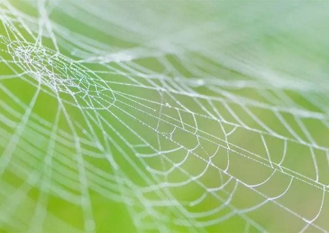 L’evoluzione dei sistemi di welfare