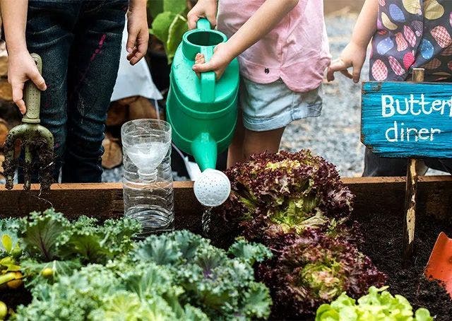 Allestire un orto-giardino in ogni scuola è una realtà possibile