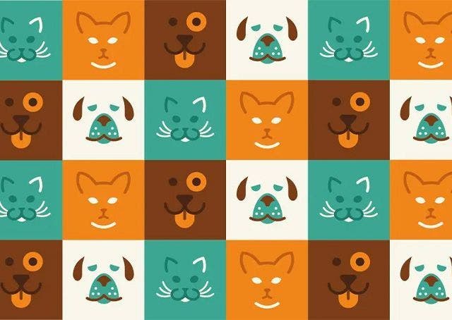 Gli Interventi Assistiti con gli Animali e la terapia cognitivo comportamentale