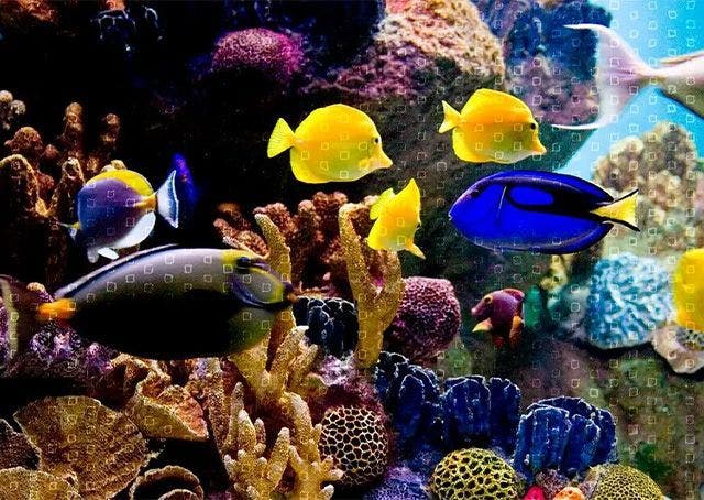 Cosa sono i dati, come definirli?