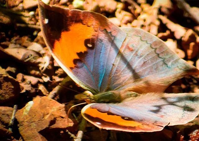 Comprendere il lutto e riprendere a vivere