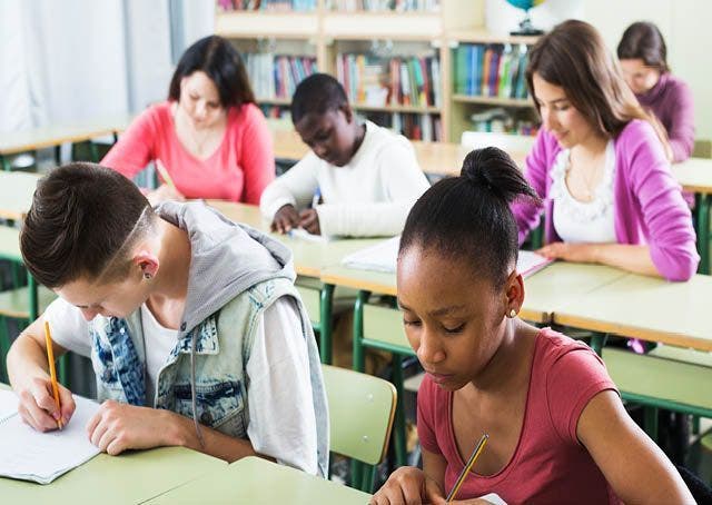 L’inclusione scolastica degli alunni con cittadinanza non italiana