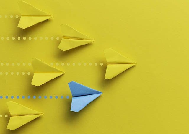 Da Direttori SGA a Funzionari e dell’Elevata Qualificazione